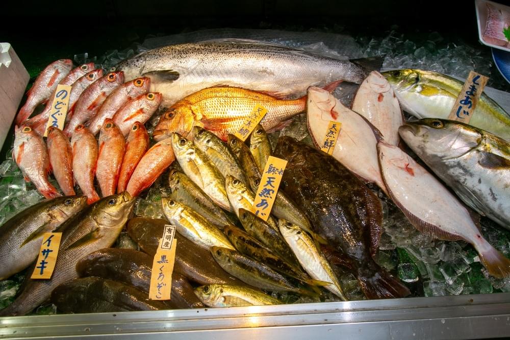 九州一帯の鮮魚をお取り扱い